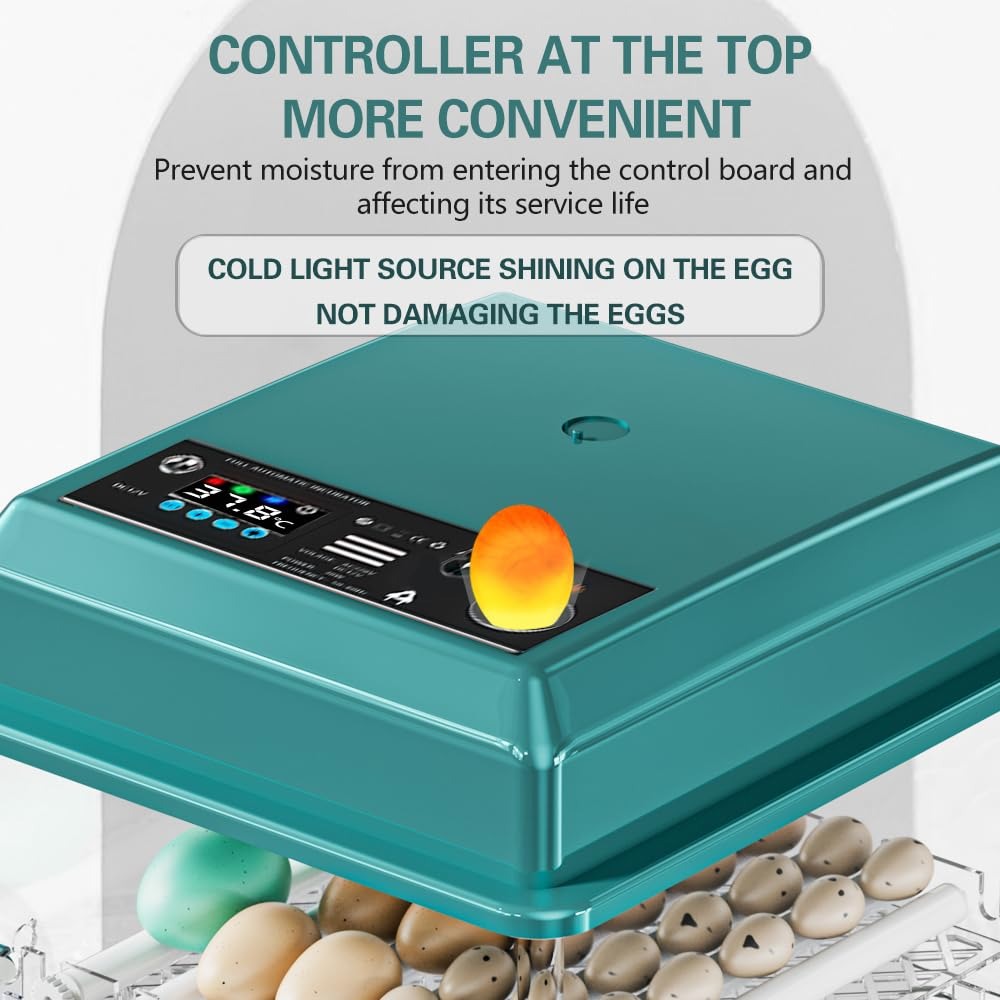 Incubatrice Automatica per Uova con Display Digitale, Controllo della Temperatura, Sistema di Rotazione Automatica, Verde