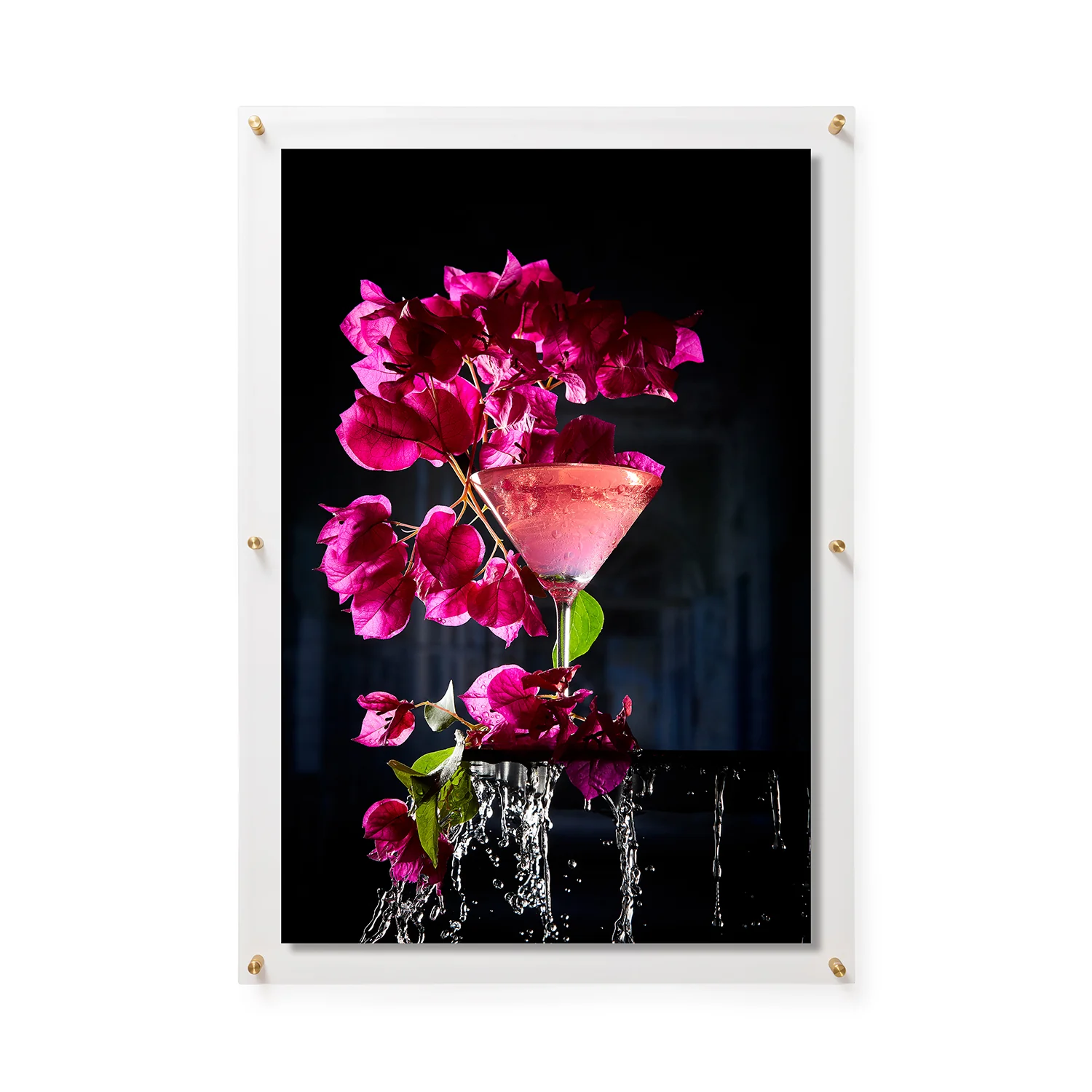Bougainvillea by Chriscilla Browning
