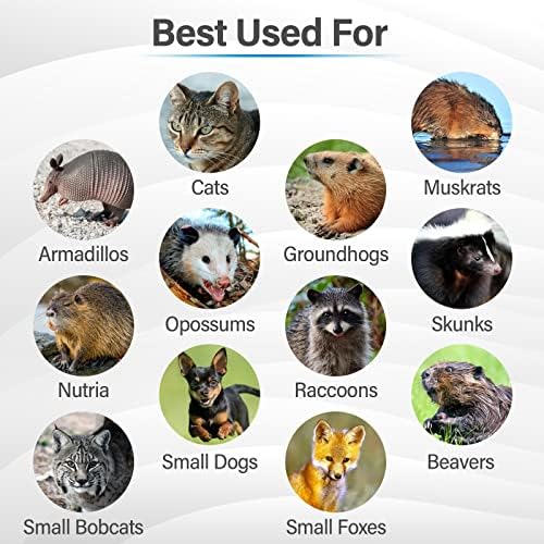 Trappola pieghevole per animali vivi Humane Way da 32 pollici - Trappola sicura per tutti gli animali - Procioni, gatti, marmotte, opossum - 32''x10''x12'' Nero