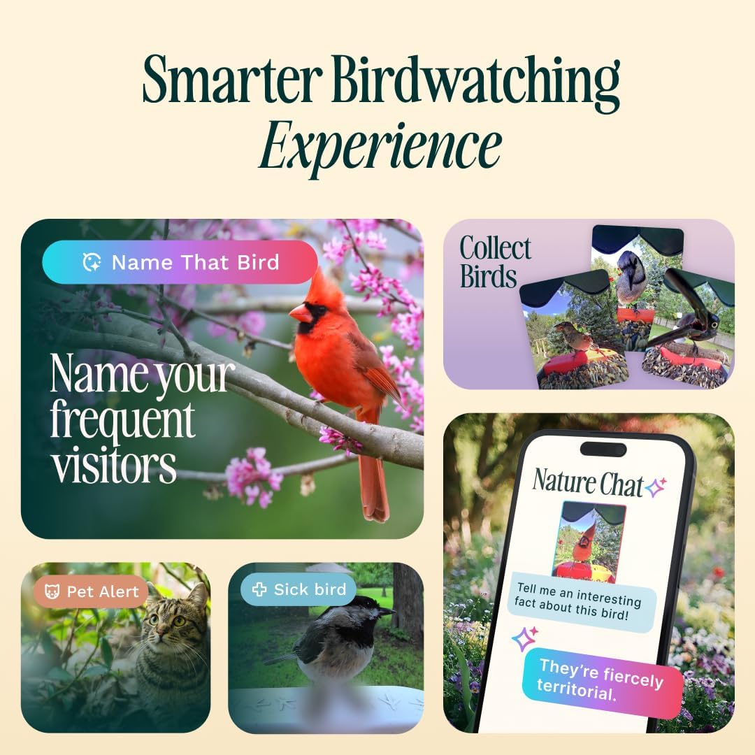 Birdbuddy PRO Solar Smart Bird Feeder with Camera - AI Bird Species Identification  5MP Photos  2K HD Video Live Stream Camera  Slow-Motion Video  2.6in Focus - Blue Solar