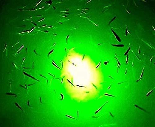 Dock 30,000 Lumens Green Underwater Fishing Light