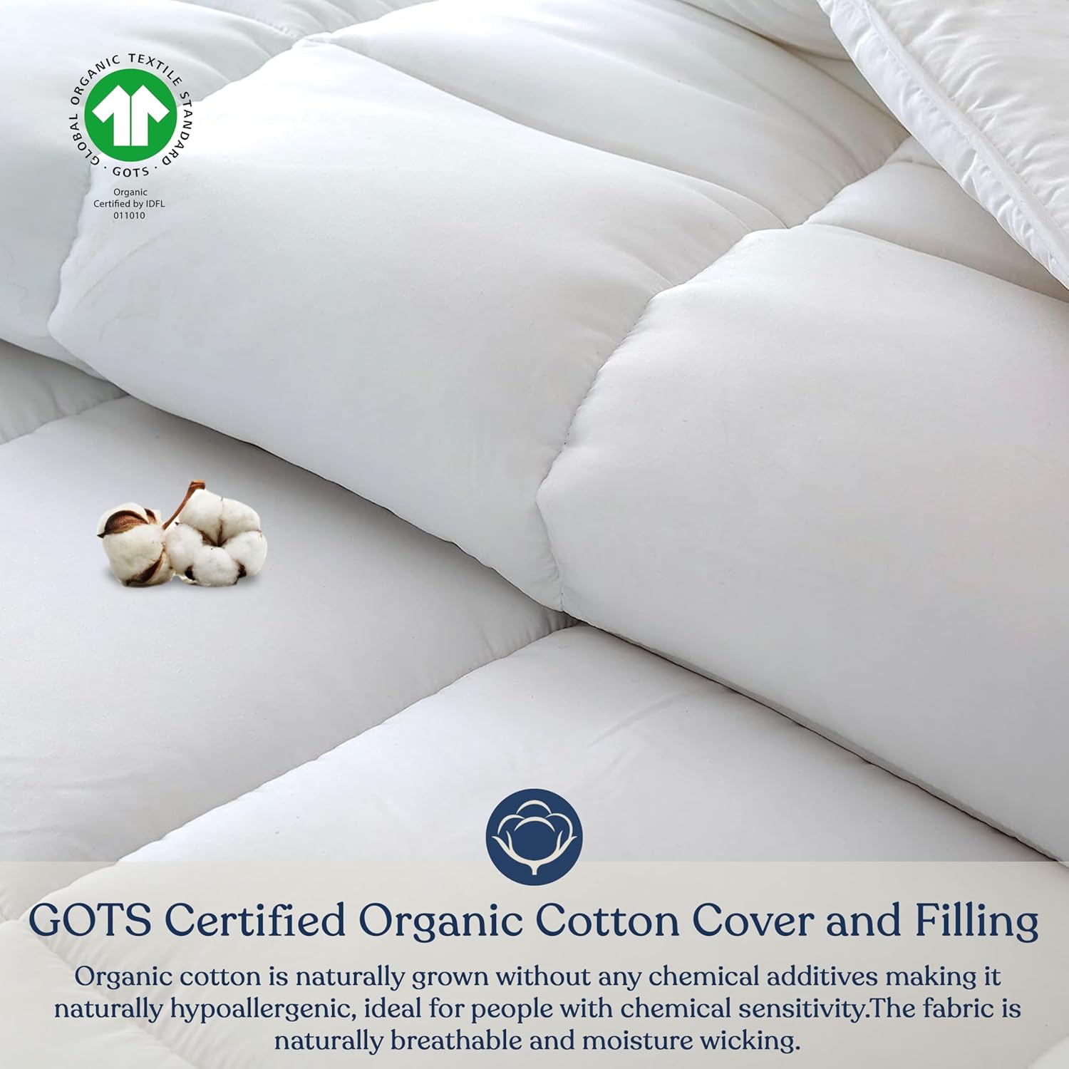 Delara King Duvet Insert – White Cotton Comforter – 100% Organic Cotton Shell and Filled All Season, Breathable, Lightweight with 8 Tabs – GOTS Certified