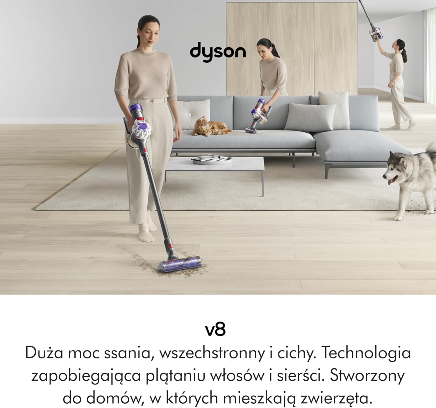 Bezprzewodowy odkurzacz pionowy Dyson V8™ Advanced (Srebro/Nikiel)
