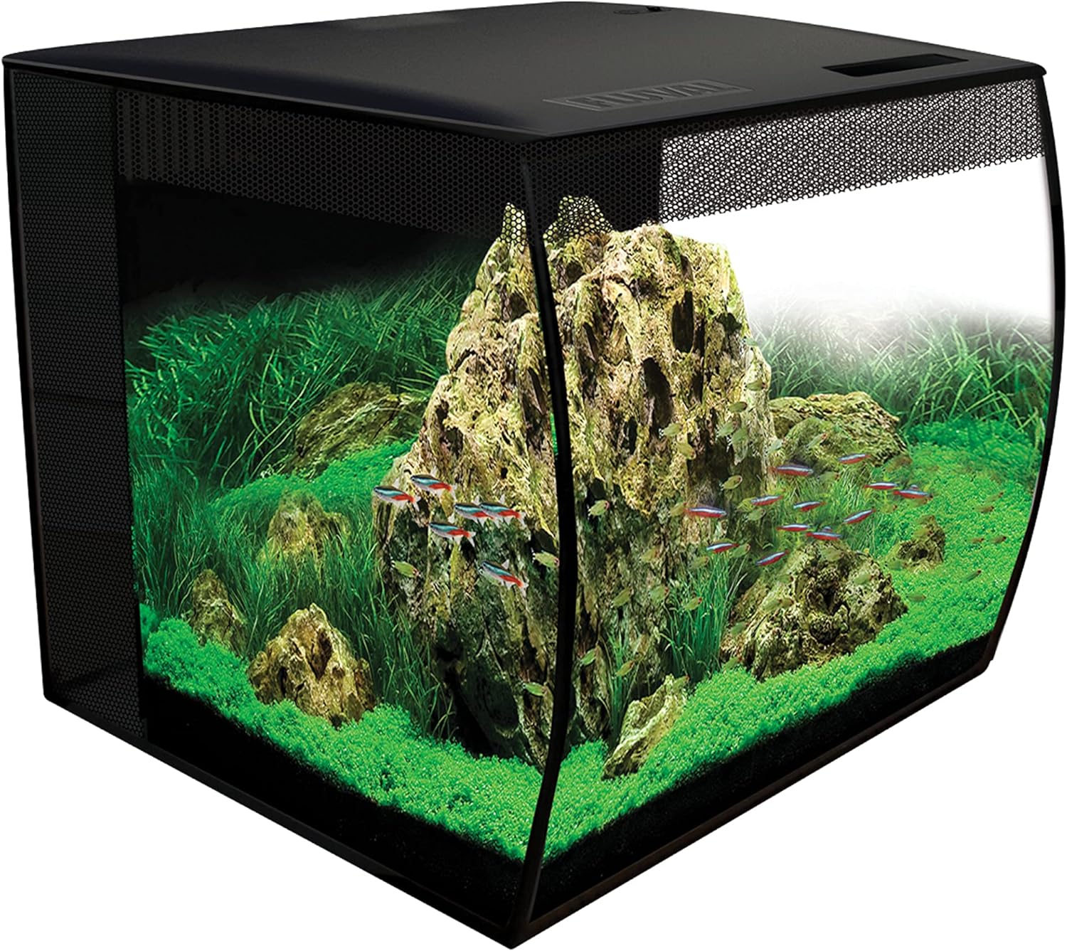 Fluval Flex Aquarium 123L, Süßwasser Aquarium, schwarz