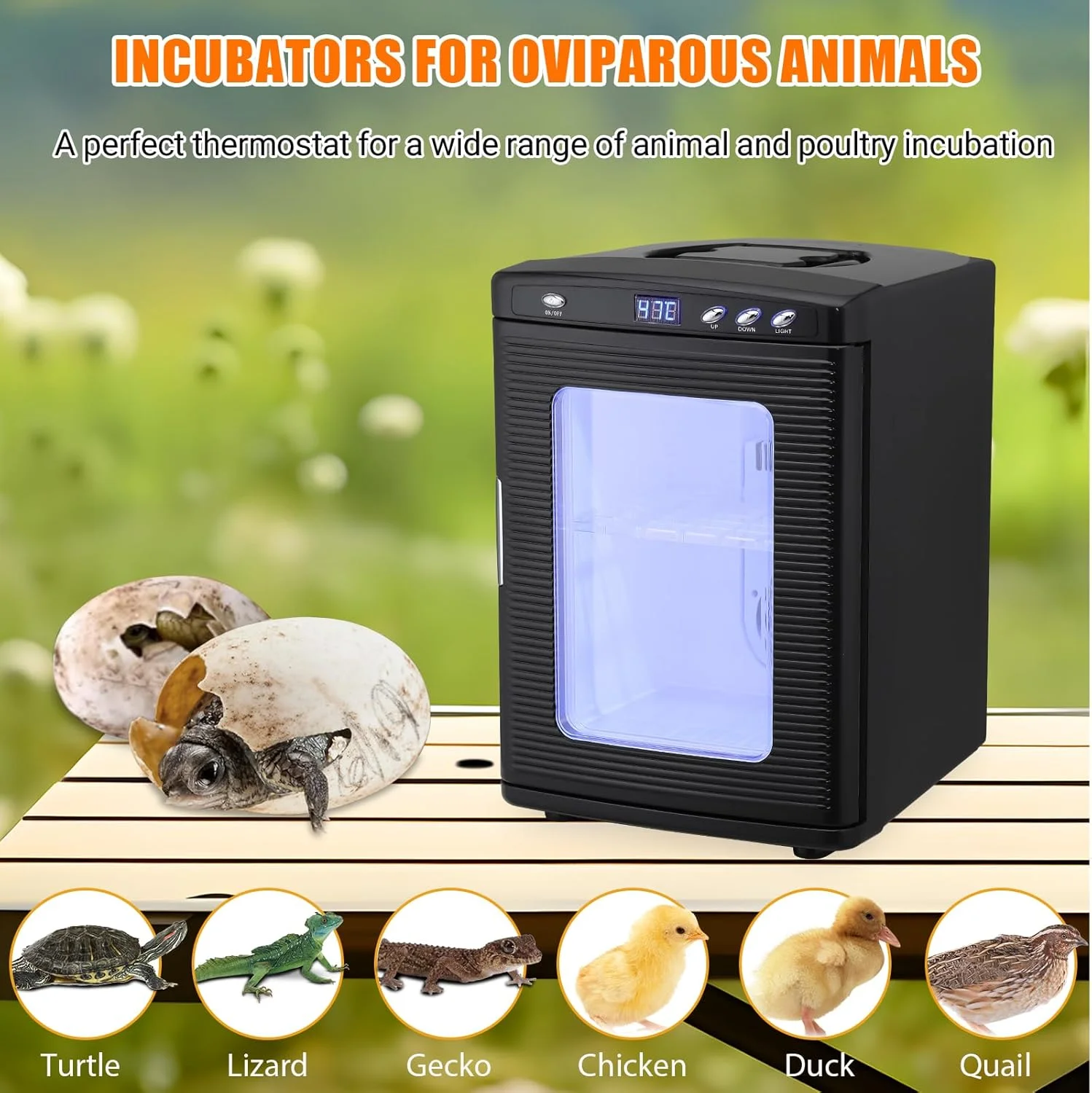 Garvee 25L Reptile Incubator for Hatching Eggs - Portable Scientific Laboratory Incubator, Temperature Controlled 10��C-60��C for Small Reptiles, Cooling and Heating Digital Incubator, 12V/110V Black
