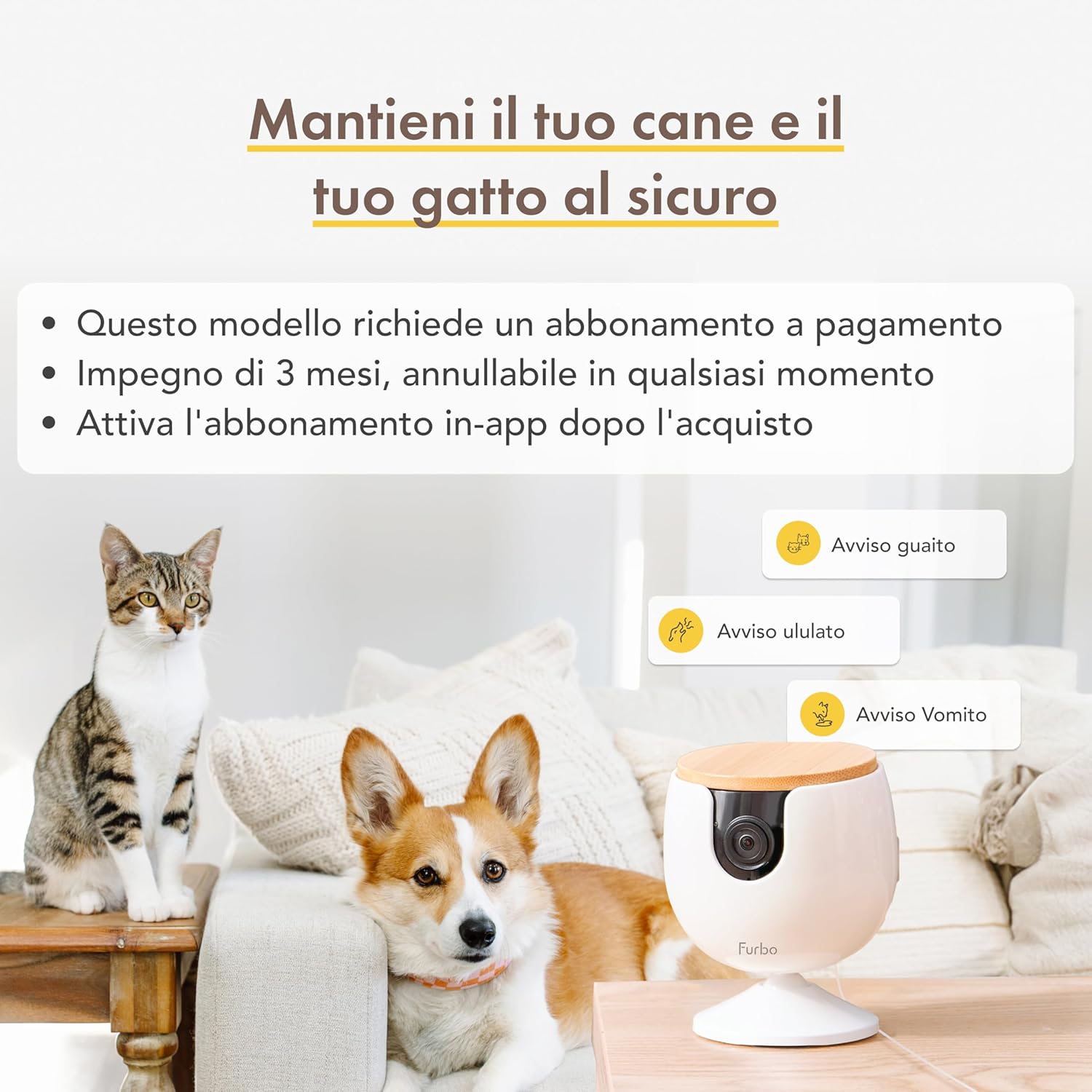 Furbo Videocamera 360° per Cani con Pacchetto Sicurezza Casa