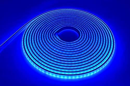 LEDeXTREME LED Neon Rope Light LED Flexible Tube Light 12VDC LED Neon Strip Light IP68 Waterproof, Submersible, Decoration Light