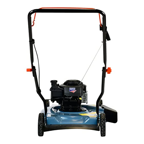 Gas Lawn Mower, 20-Inch, 125 cc 4-Cycle Briggs & Stratton Engine, Push Lawnmower
