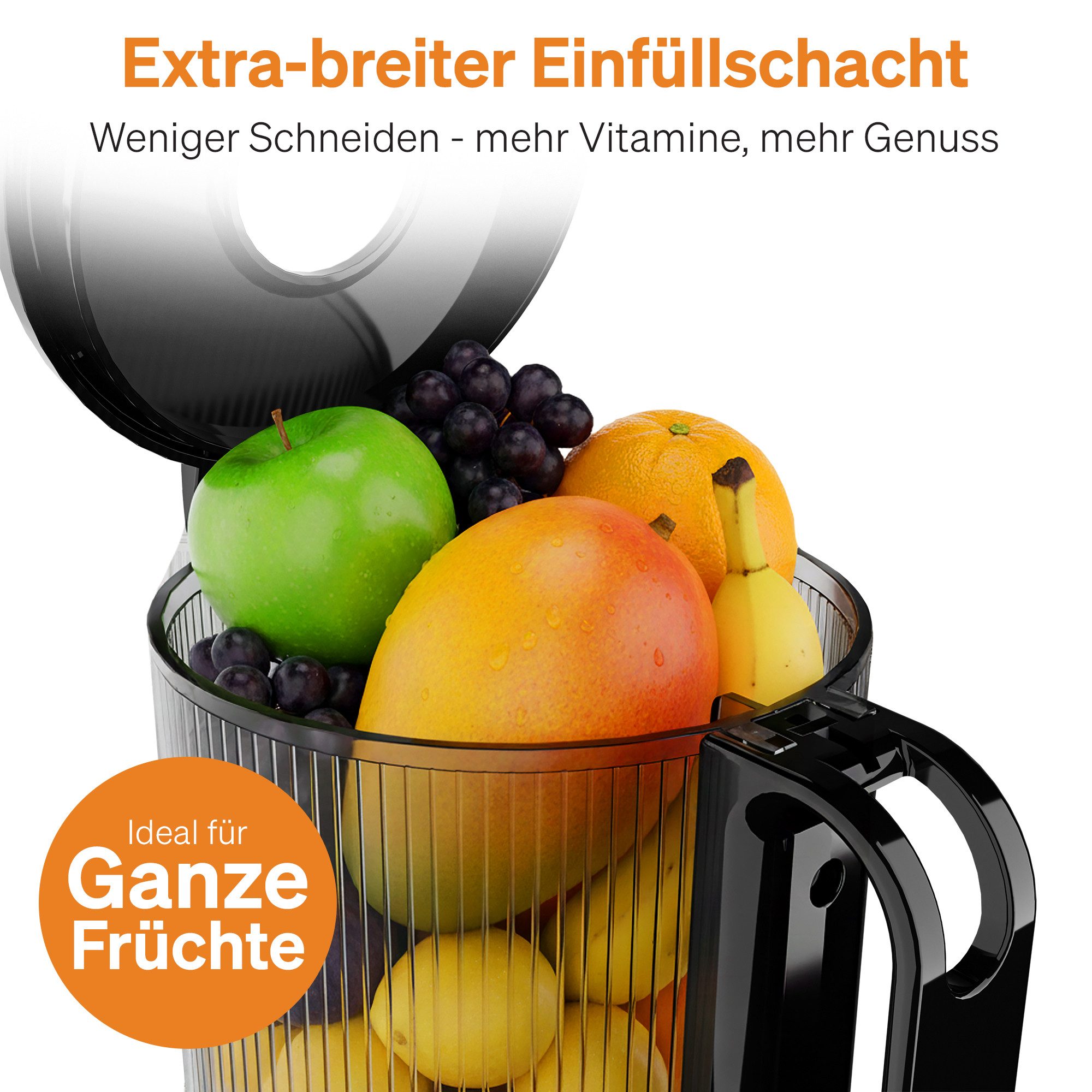 Slow Juicer Entsafter Gemüse und Obst