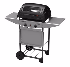 Barbecue CAMPINGAZ A Pietra Lavica Expert Plus IT