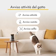 Monitor intelligente per animali domestici sul tavolino accanto al divano con gatto. Lo schermo mostra «Avviso di attività del gatto» in italiano con icone per l'attività, il vomito e gli avvisi per i selfie