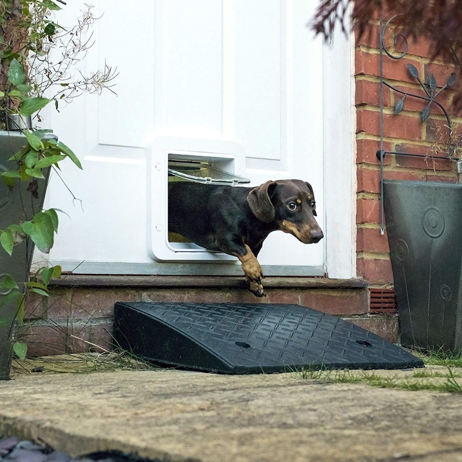 Mikrochip-Haustierklappe Connect mit Hub und App-Steuerung, für Katzen und kleine Hunde, weiß
