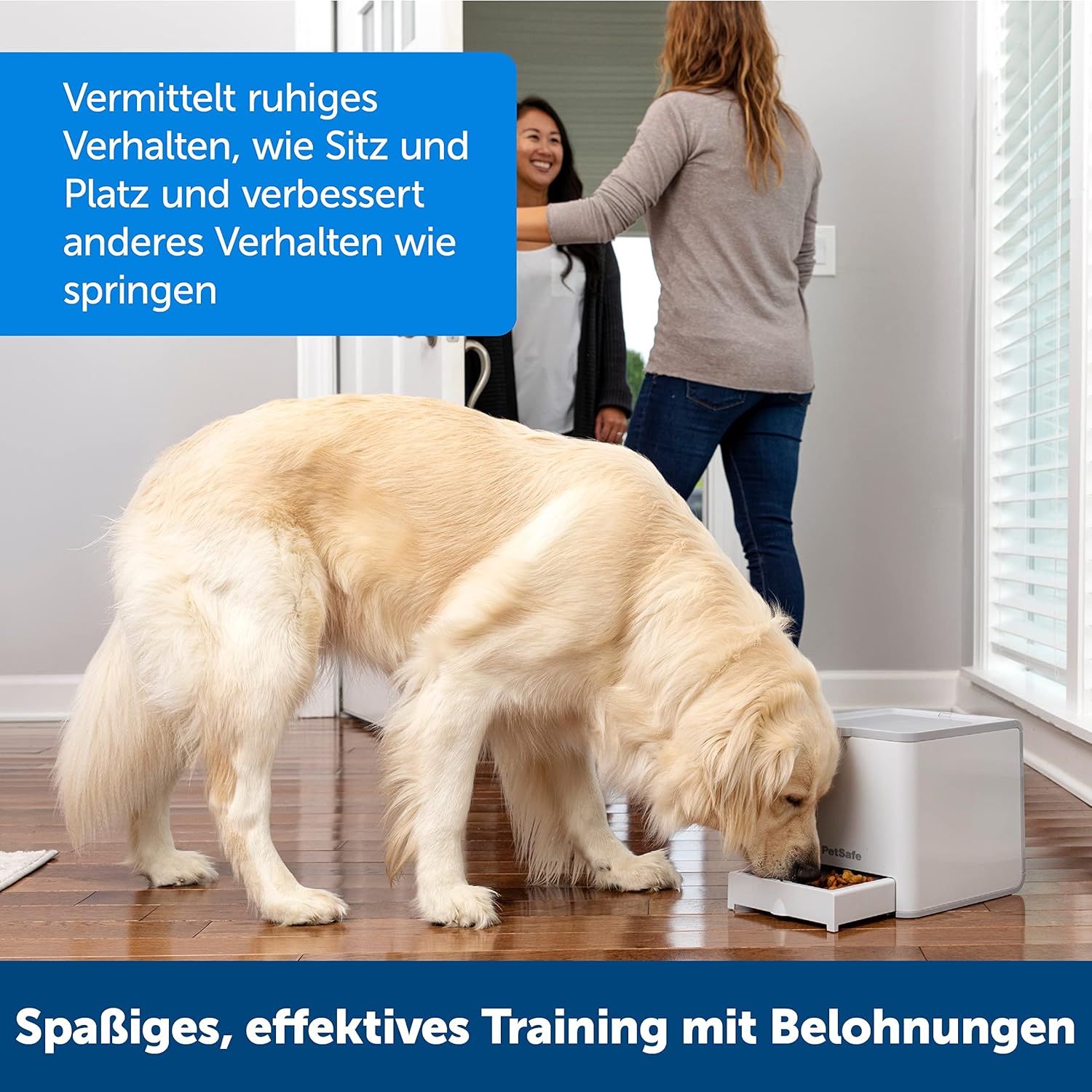 PetSafe Teach und Treat Ferngesteuerter Belohnungstrainer für Hunde, Training und Positive Verstrkung, 4 D Batterien ntig, Grau