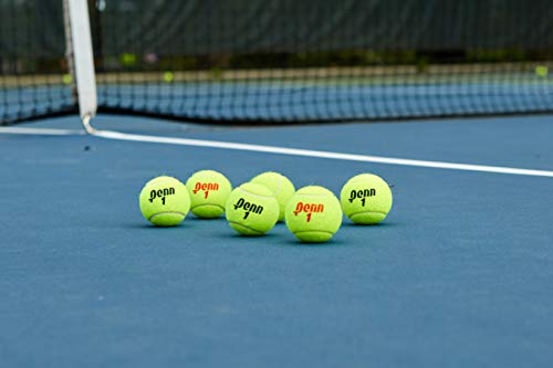 Penn Championship Tennis Feltro pressurizzato