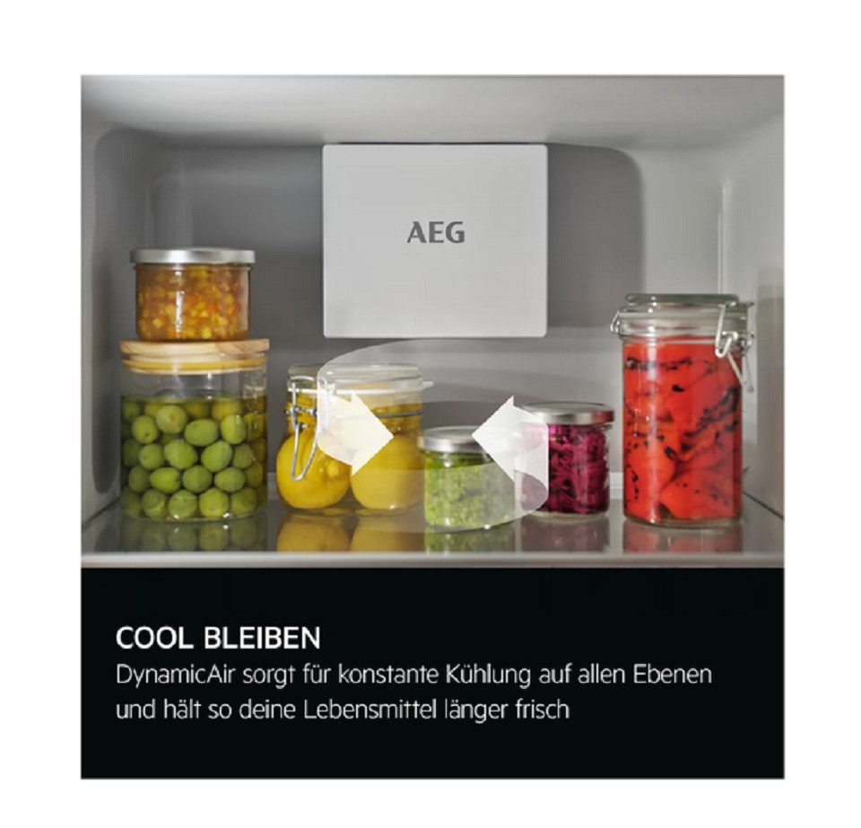 Einbaukühlschrank keine Angaben NSK6D181ES_923581349