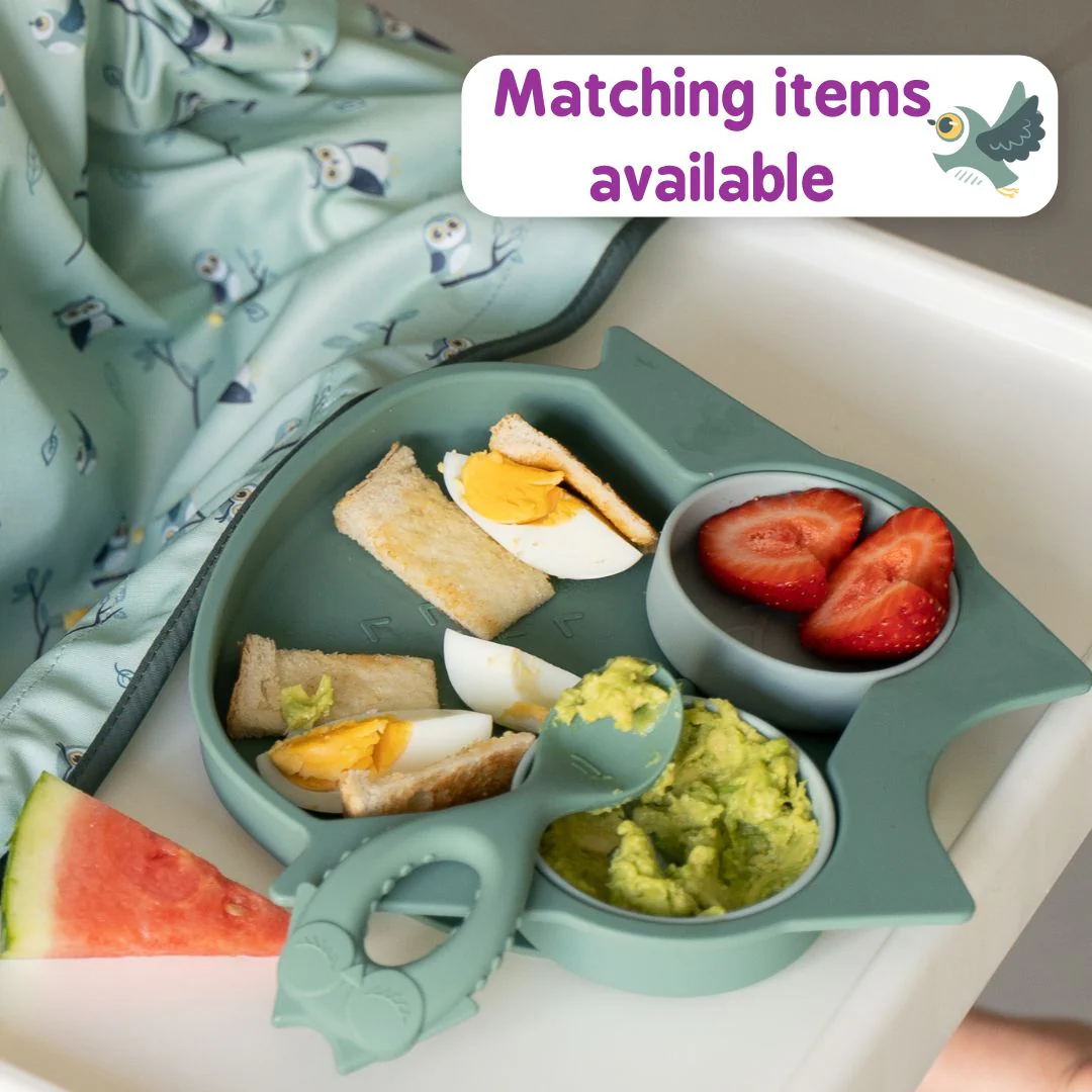 Silicone Weaning Spoons Set