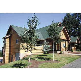 Western Red Cedar Bevel Siding 11/16&prime;&prime;x8&prime;&prime;x144&prime;&prime; 6 Pack &ndash; Weather Resistant Wood