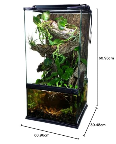 Zoo Med Paludarium   Paludario in vetro e metallo per la creazione di ambienti naturali per animali esotici, anfibi, rettili, dimensione 30x30x60 cm : Amazon.it: Prodotti per animali domestici