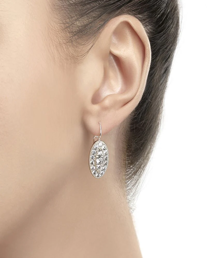 Newbridge Silverware Oval Earrings with Clear Stones