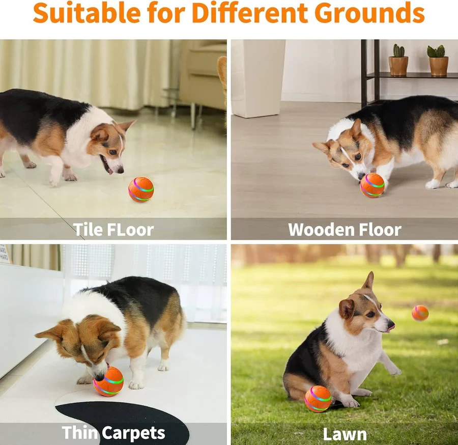Interactive Motion-Activated Pet Ball �C Remote Control, LED Lights & 5�C6 Hour Battery