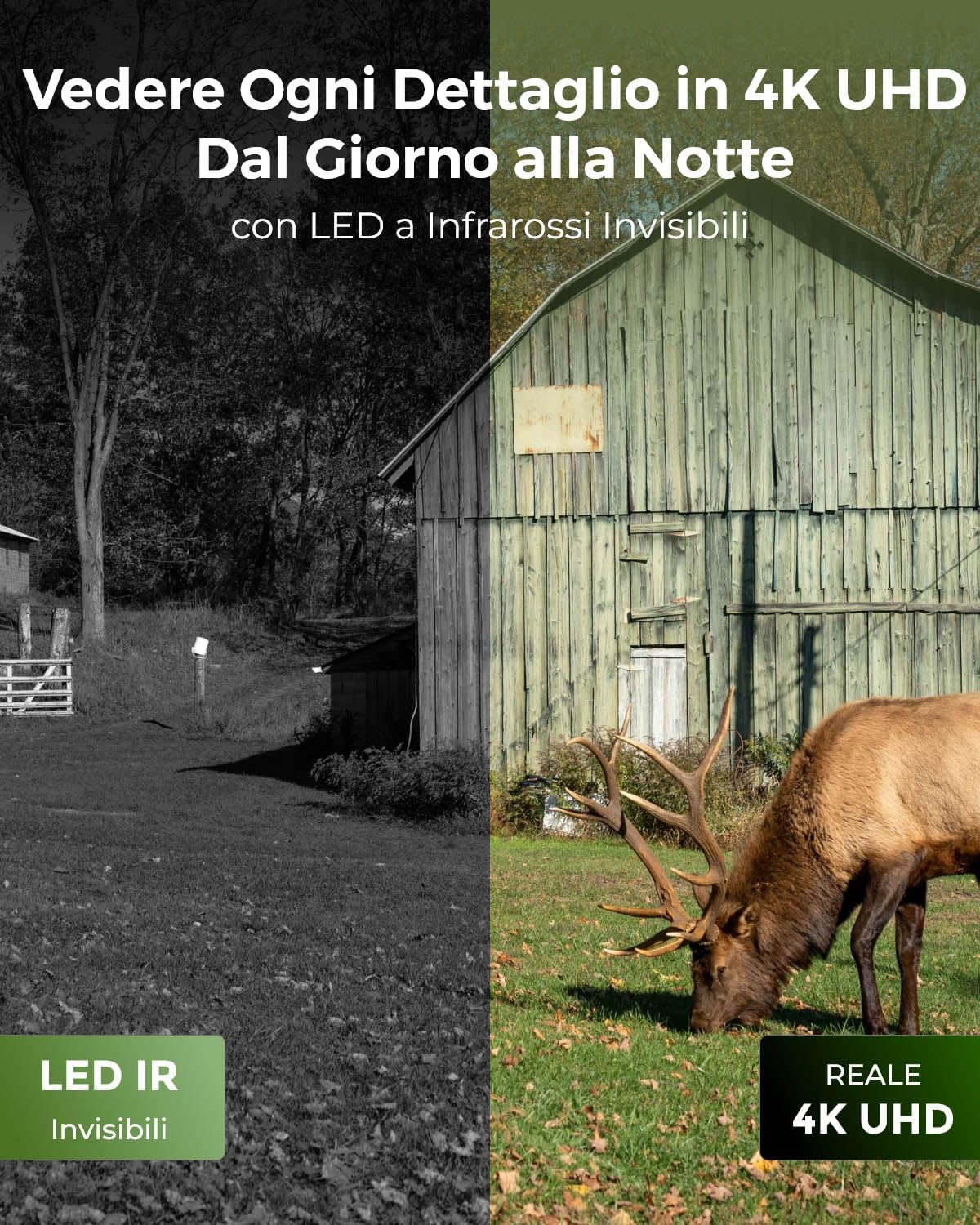 Reolink 4K Telecamera 4G Sim da Esterno Senza Fili con Batteria, 360° PTZ Fototrappola Infrarossi Invisibili, Audio a 2 Vie, Riconoscimento degli Animali, Accesso Remoto, Go Ranger PT+Pannello Solare
