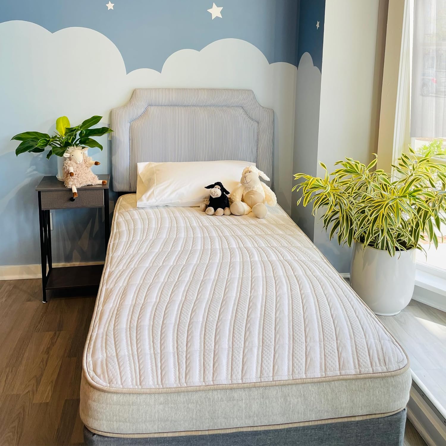 Ethical Mattress CO 6" Kid’s Mattress, Toxin-Free, Made in The USA with Organic Cotton, Wool, Latex & Pocketed Coils (Bed-in-a-Box); Perfect for bunk beds, trundles & Platform beds - Twin Size
