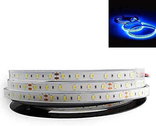 High Power Underwater LED Outdoor Light Strips 5 Meters SMD5630 IP68