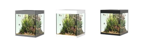 OPERA AQUARIUM 80 STEEL : Amazon.it: Prodotti per animali domestici
