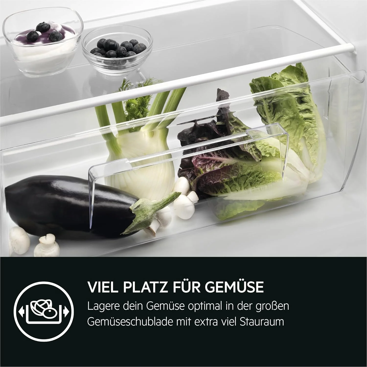 AEG TSK5O881ES Inbouwkoelkast / 880 mm / 142 L / Sleepdeur / E