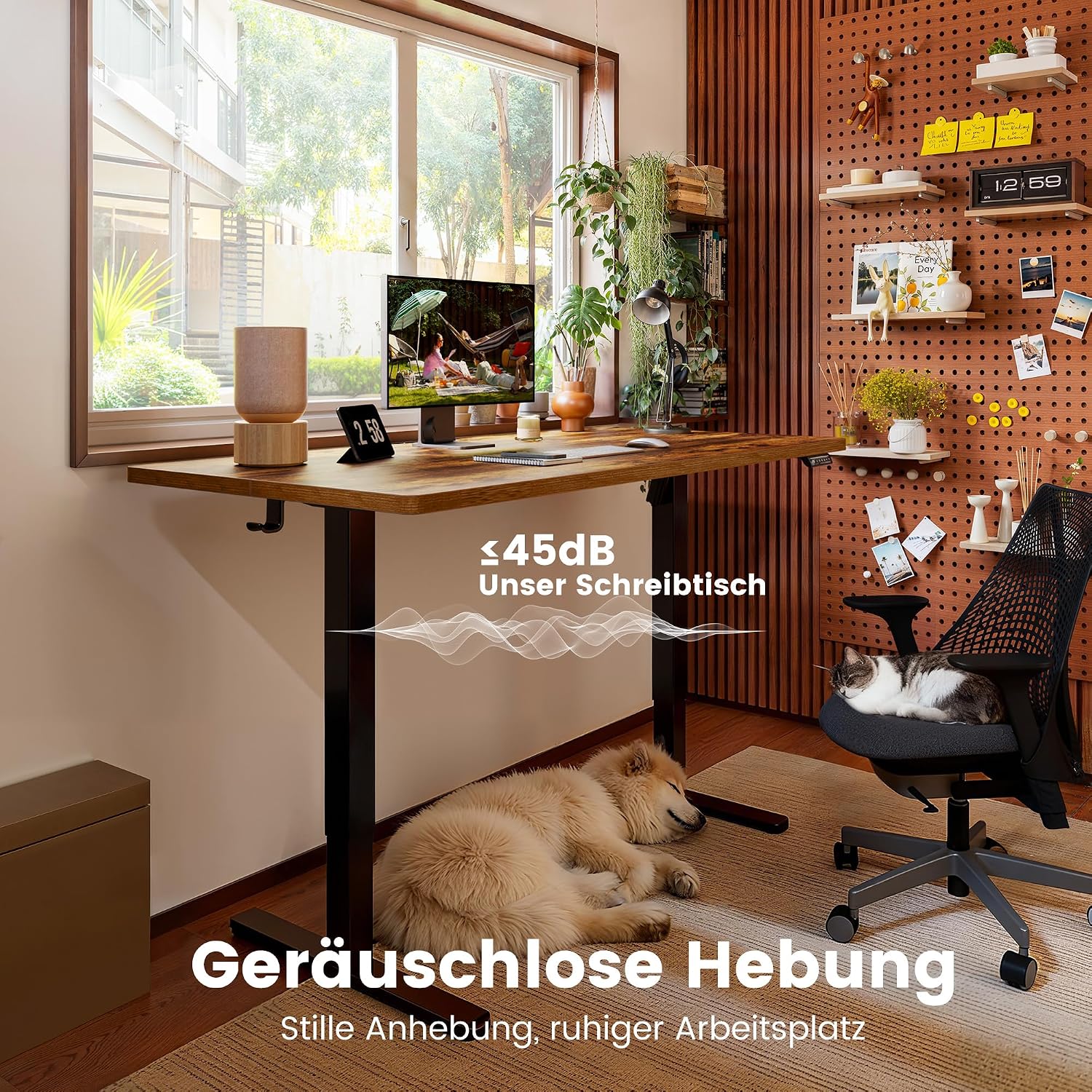 ErGear Elektrisch höhenverstellbarer Schreibtisch mit Memory-Funktion