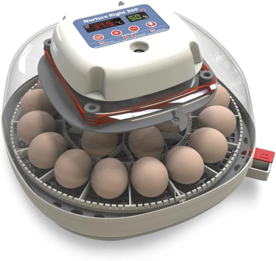 Egg Incubator for Hatching Chicks, Holds 12-22 Eggs, Automatic Turner with Temperature and Humidity Control, 360 Degree View with Clear Window, Incubator for Chickens