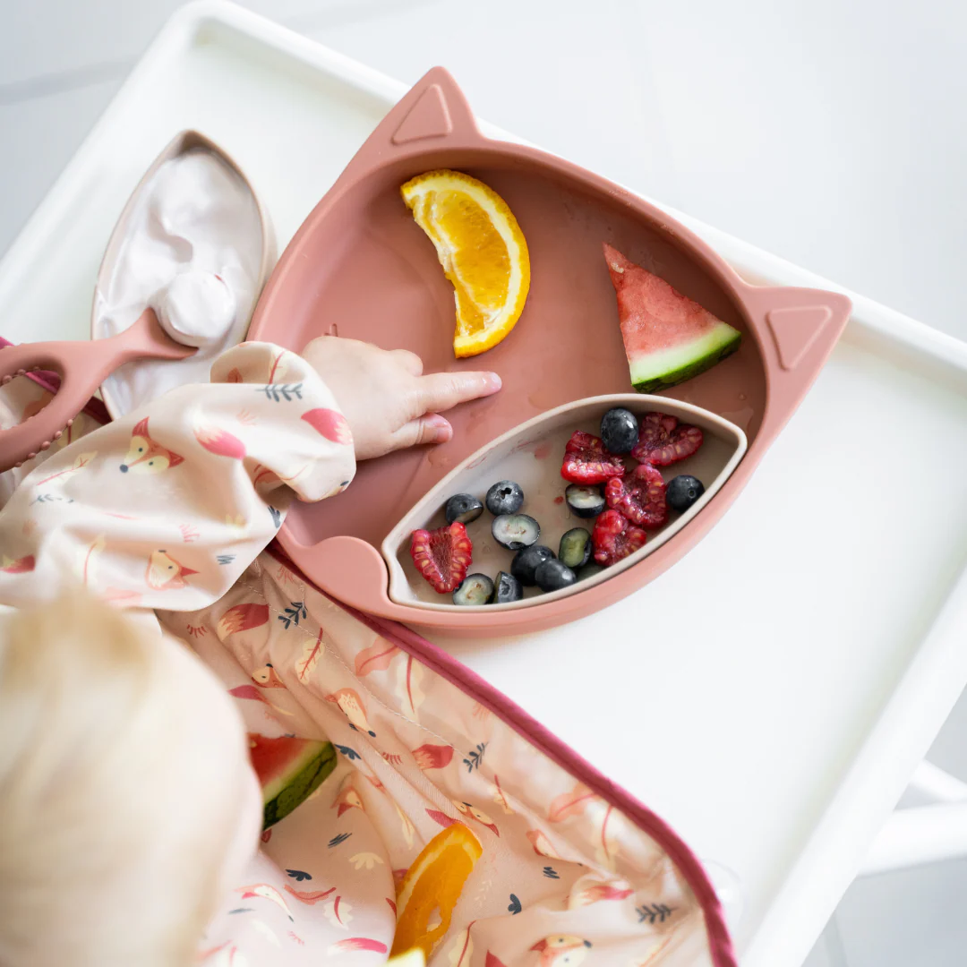 Bib & Plate Bundle - Cover & Catch
