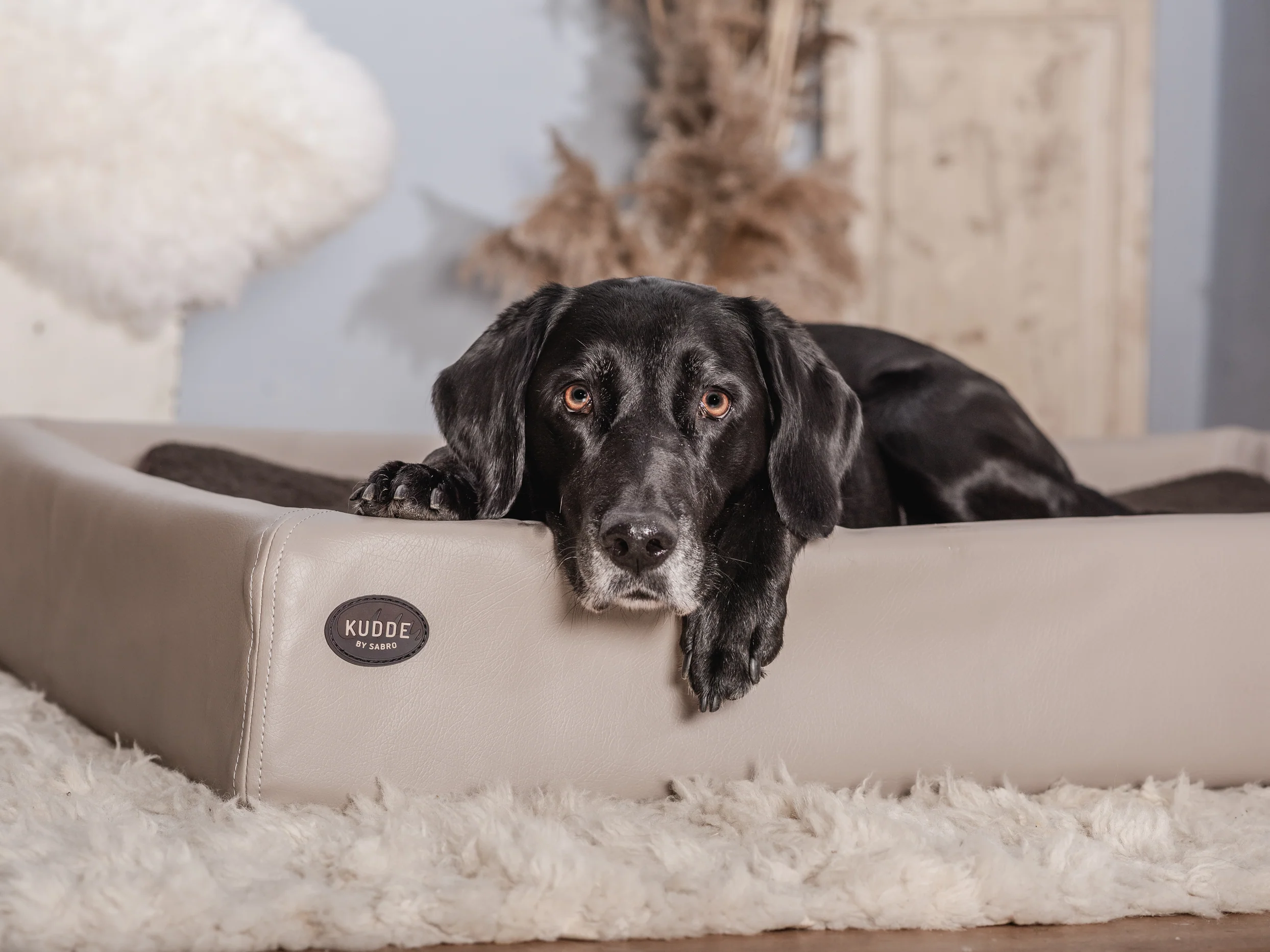 Hundebett KUDDE