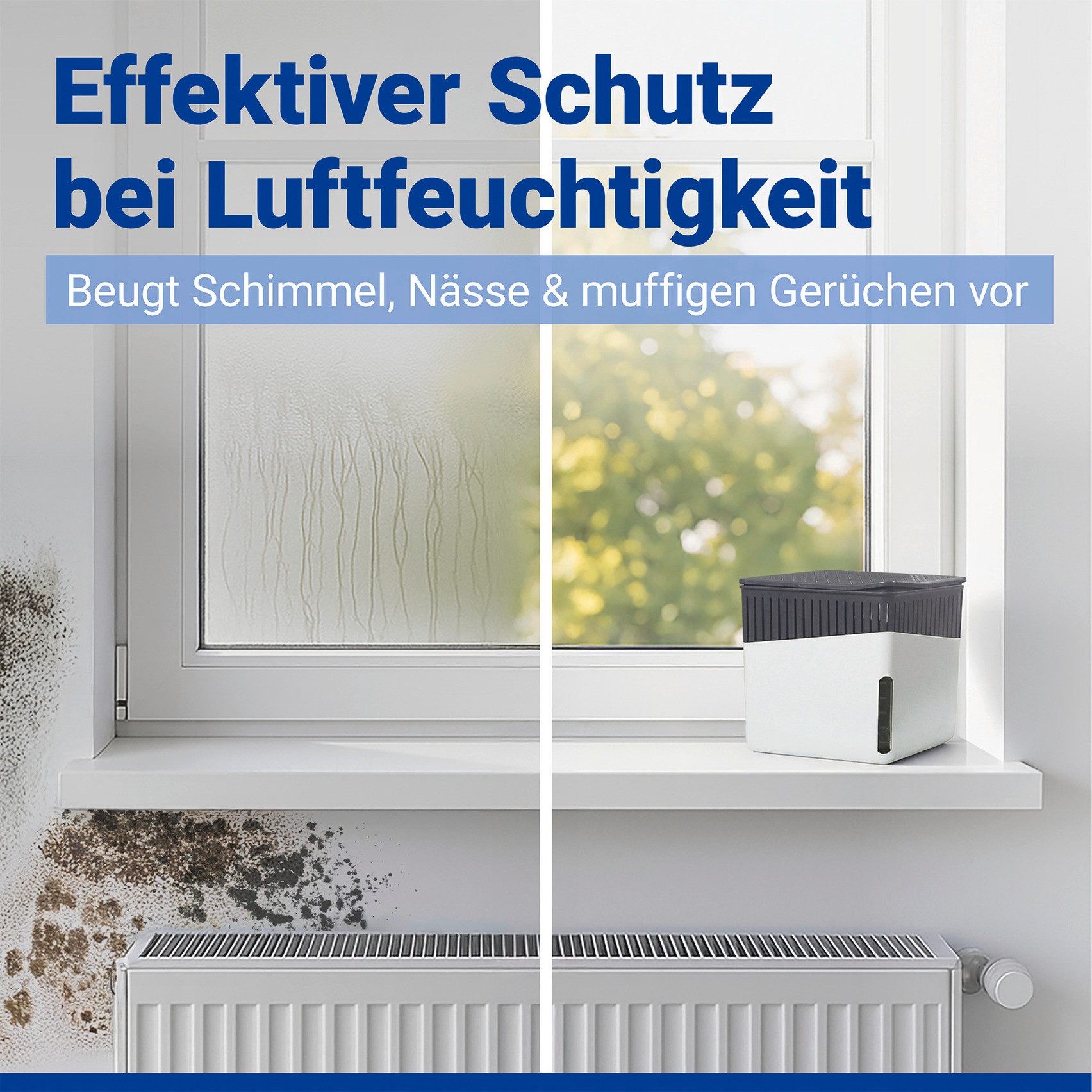 Luftentfeuchter Modell Cube