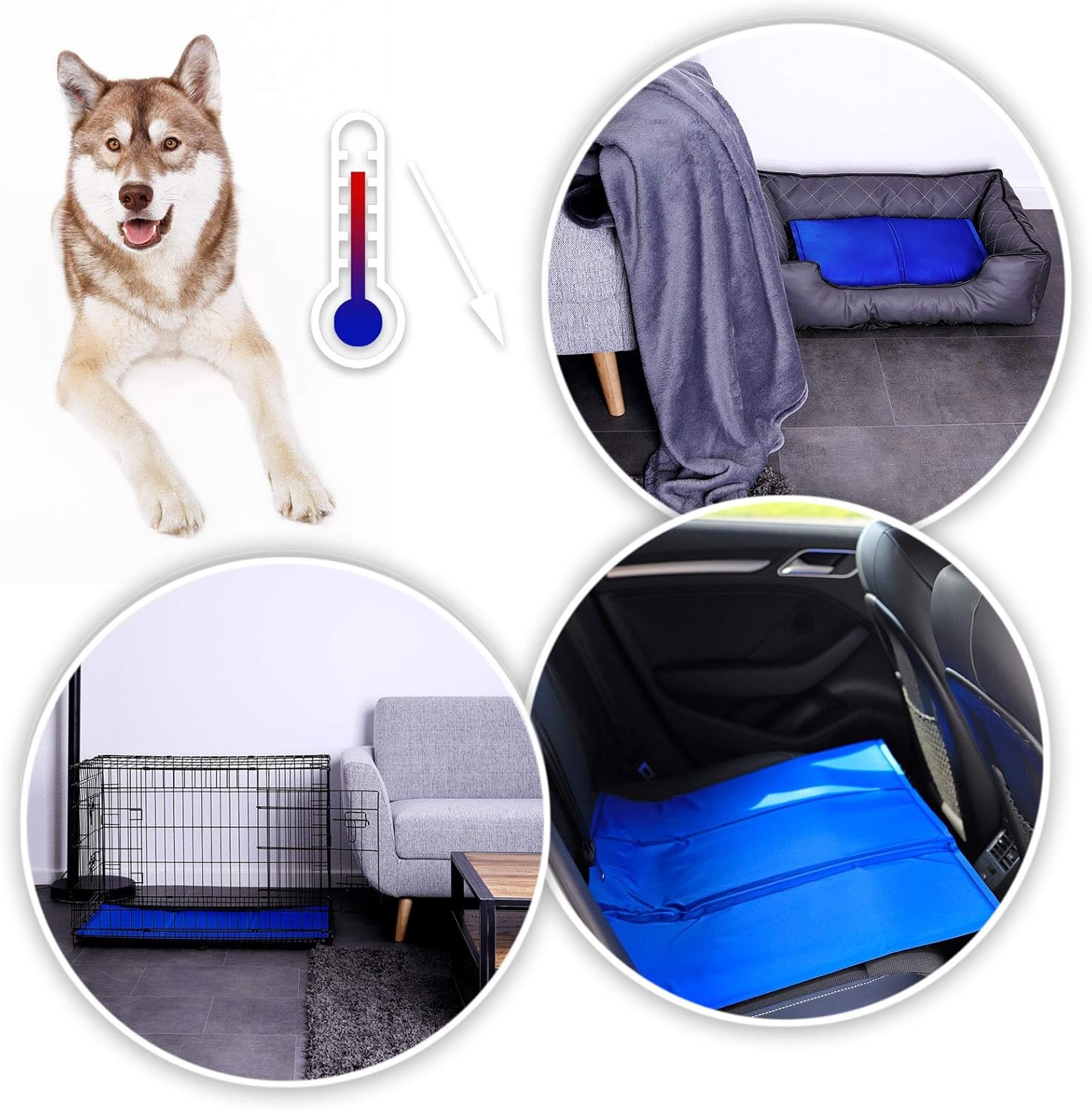 lionto Tappetino refrigerante per Animali Domestici Tappetino rinfrescante per Cani, (XL) 120x80 cm Blu
