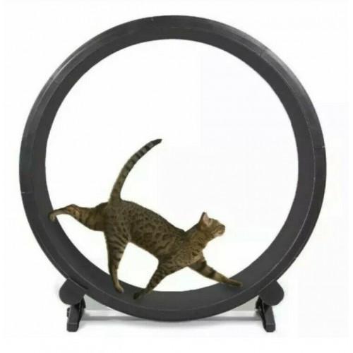 One Fast Cat Exercise Wheel &ndash; Black, New In Box, Pet Fitness Toy