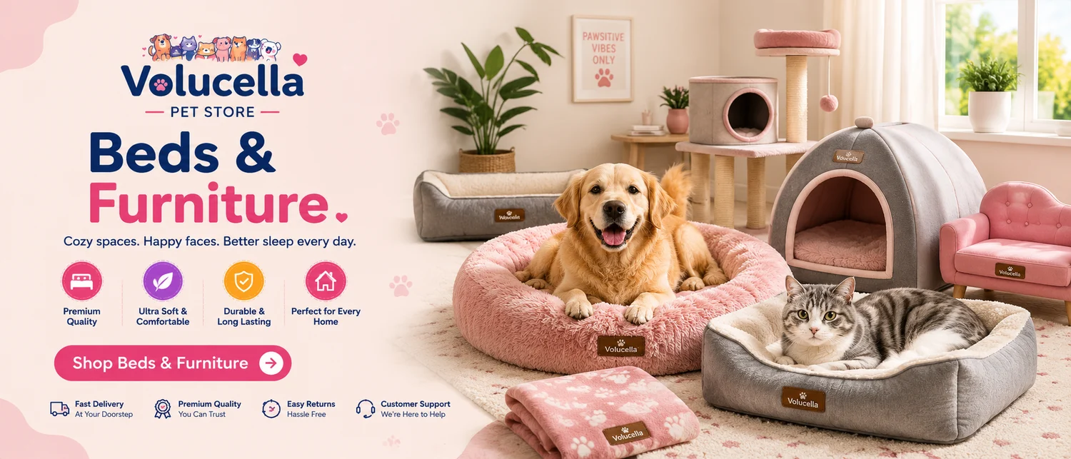 Beds & Furniture