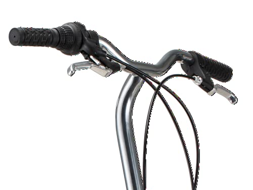 Schwinn Loop Adult Folding Bike, 20′′ Wheels, 7-Speed, Step-Through Frame, with Cargo Rack & Bag