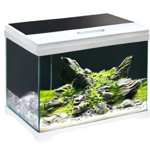 AMTRA MODERN TANK 50 LED   Acquario completo di illuminazione LED e filtro interno / cm 50,5x25,5x40 / 40 Litri : Amazon.it: Prodotti per animali domestici