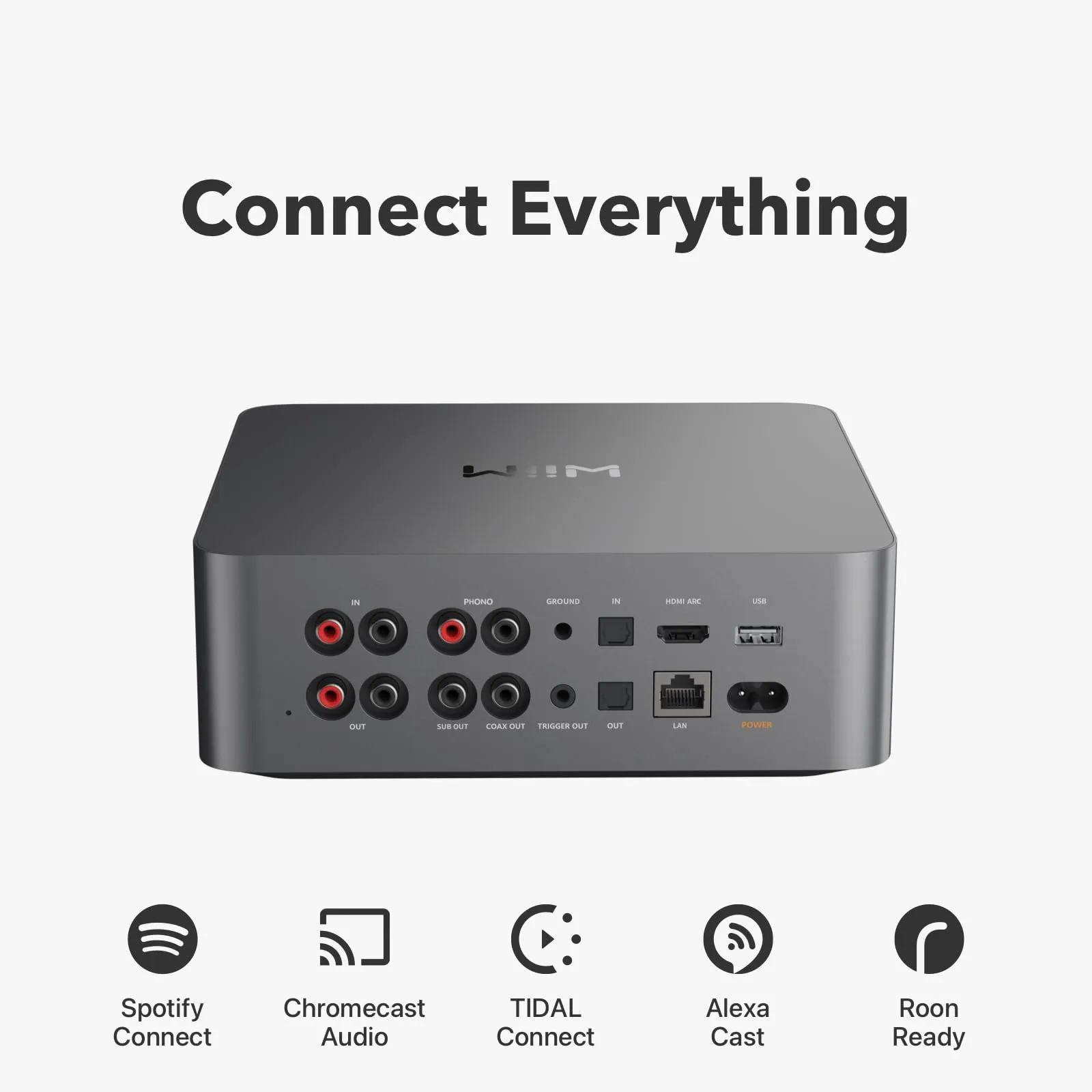 Wiim Streamer di rete con DAC Ultra Space grey