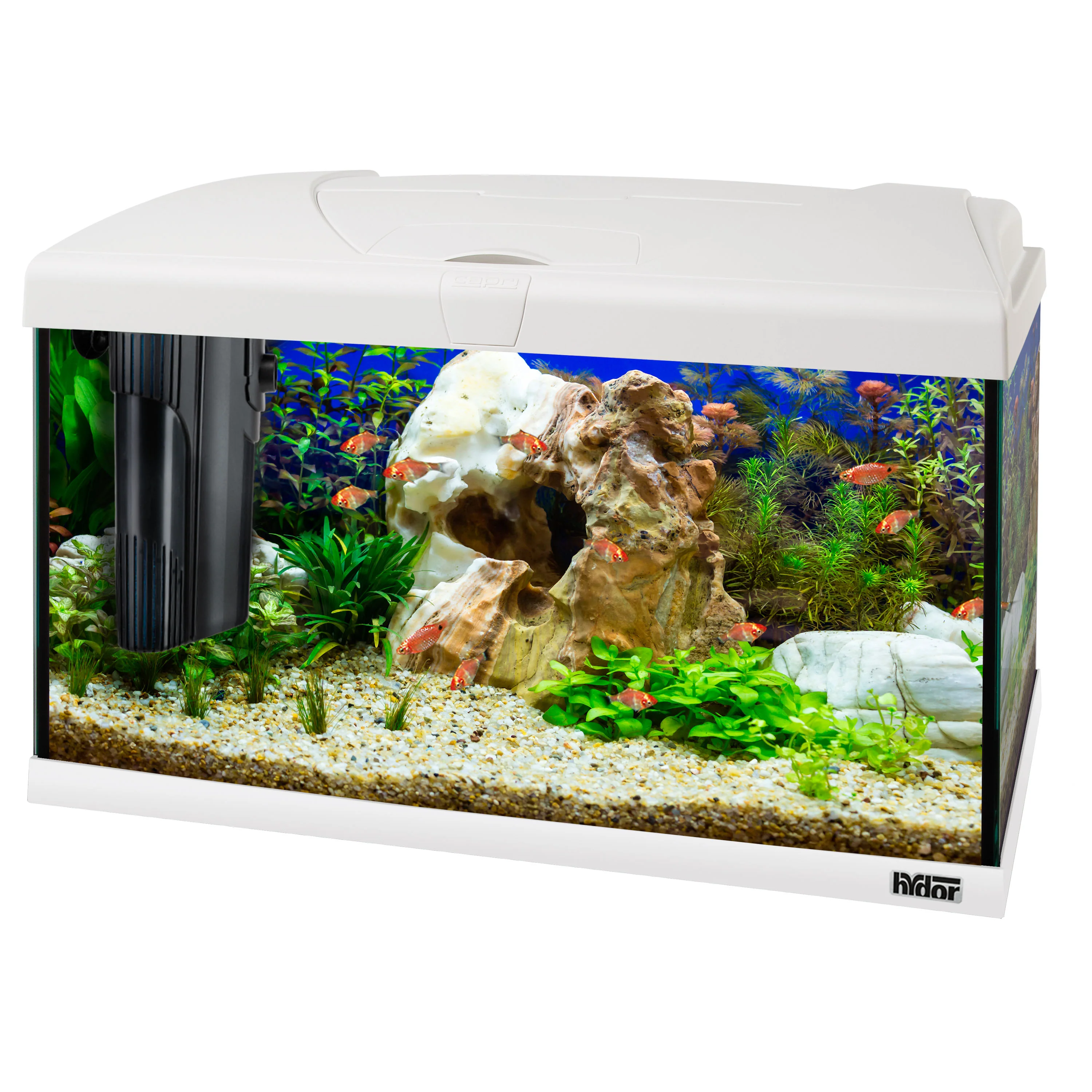 CAPRI 60 LED Acquario da 60 Litri – Illuminazione LED Efficiente e Sistema di Filtrazione Bluwave