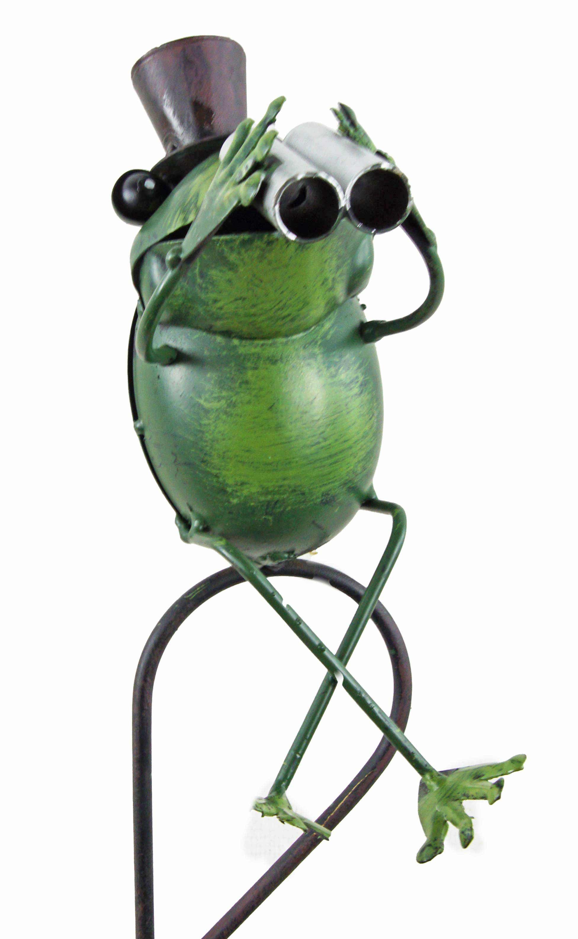Regenmesser Regenmesser Frosch mit Fernglas