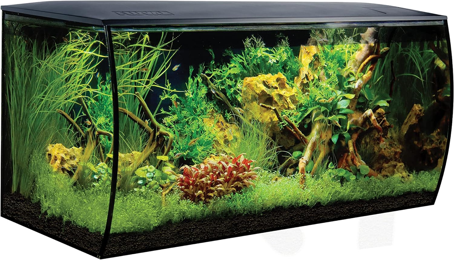 Fluval Flex Aquarium 123L, Süßwasser Aquarium, schwarz