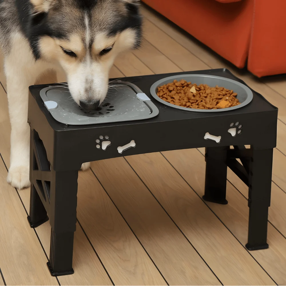 3-in-1 Elevated Dog Bowl Stand �C Slow Feeder, Spill-Proof Water Bowl & 5 Height Settings