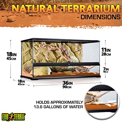 Exo Terra PT2613 Terrario in Vetro 90X45X45 Cm Inclusa Parete Posteriore : Amazon.it: Prodotti per animali domestici