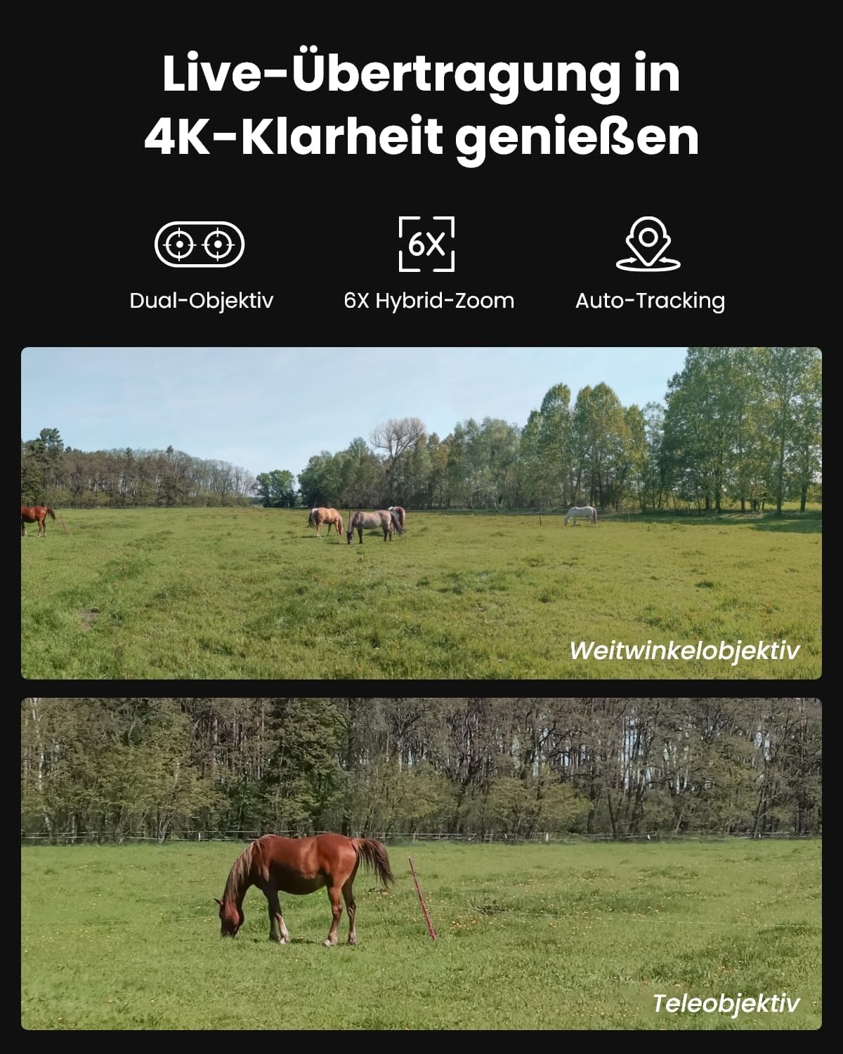 Reolink 4K 4G LTE Überwachungskamera mit SIM-Karte, Dual-Objektiv, Auto-Tracking, Wildkamera Solar Akku Ohne WLAN, 6X Hybrid-Zoom, No-Glow IR, IP65 für Wildtiere, TrackMix LTE Trail + Solarpanel