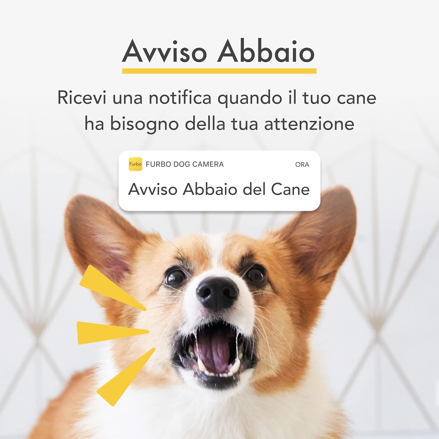 Furbo Videocamera 360° per Cani con Pacchetto Sicurezza Casa