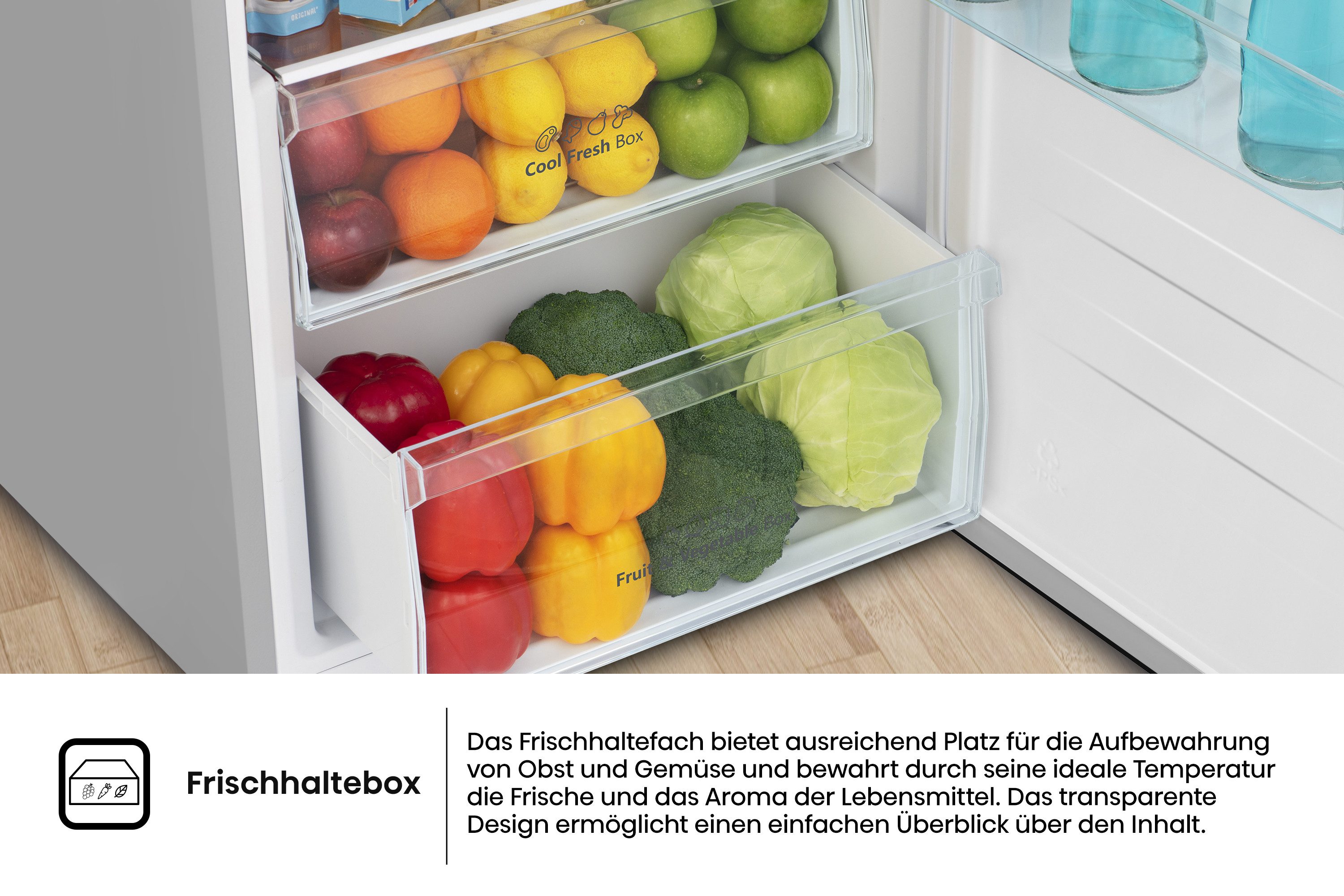 Kühlschrank RL3N319NEIC