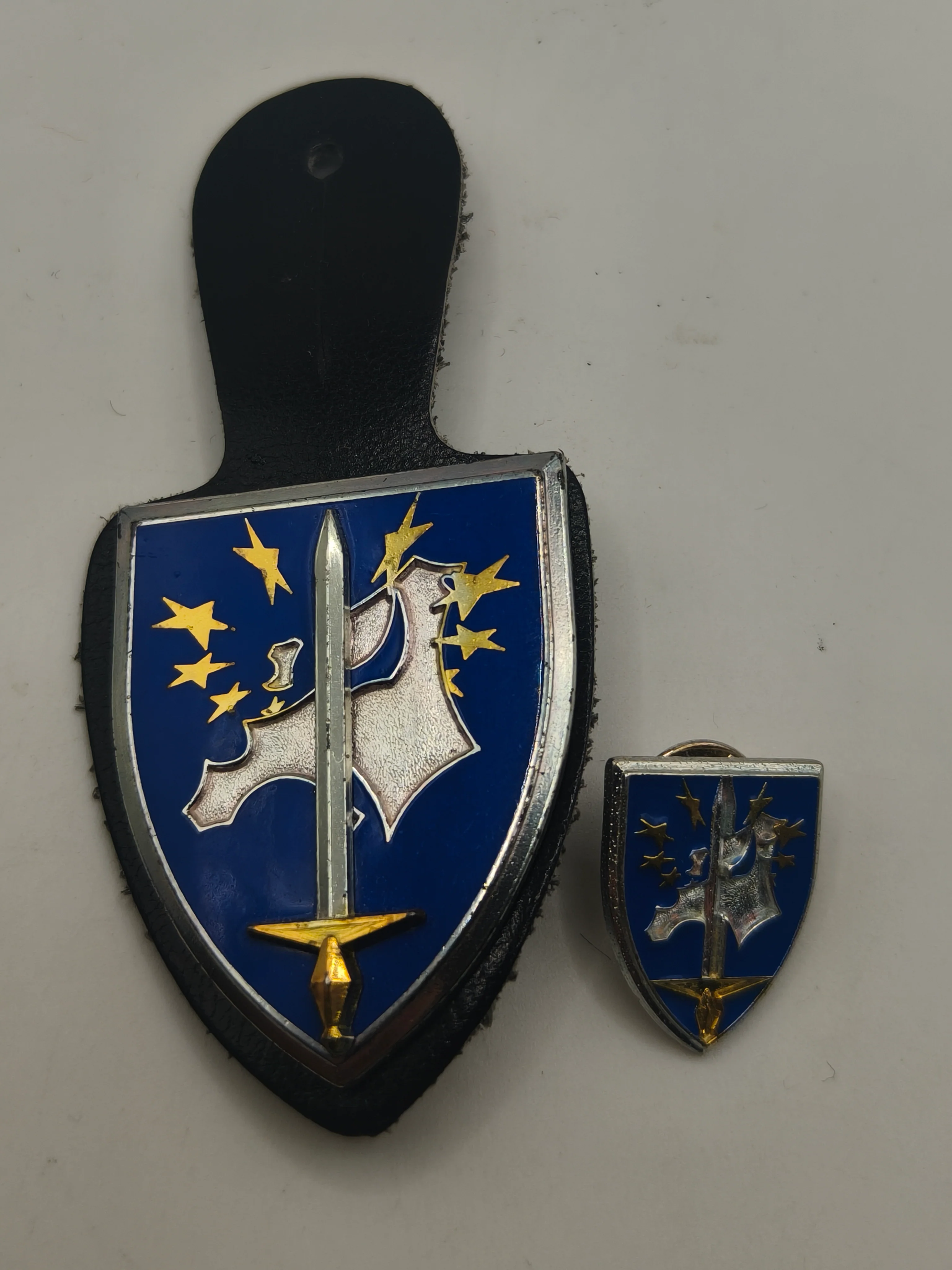 ONU Corps European badge. With miniature.