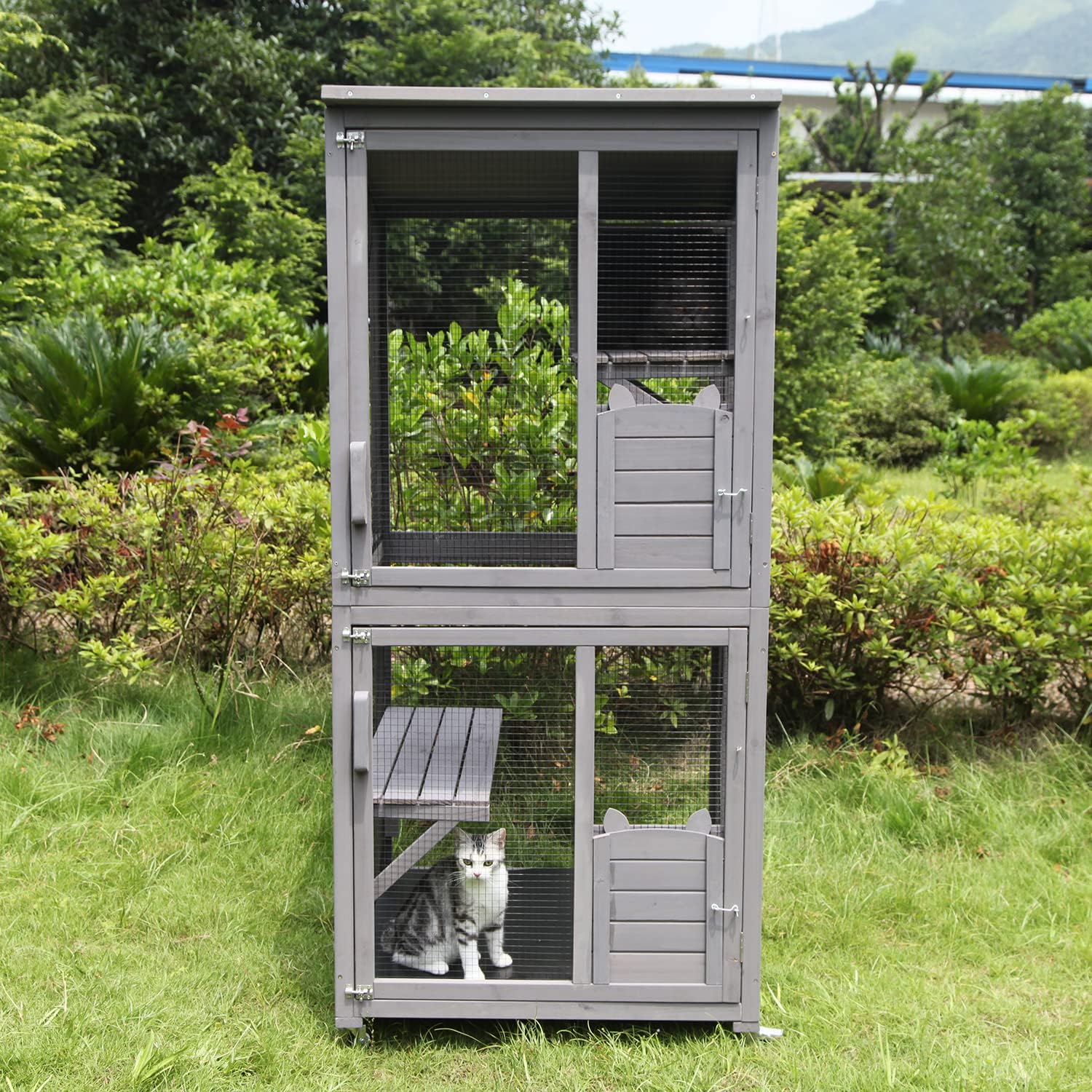 Kattenhuis Outdoor Catio Kitty Omheining met Super Grote Toegangsdeur, Houten Kattenkooi Condo Indoor Box met Platforms en Klein Huis